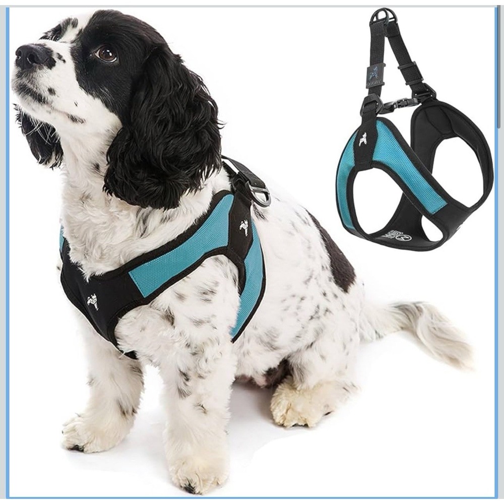 Gooby Escape Free Easy Fit‎ Harness Turquoise LargeNo Pull Small Dog Harness